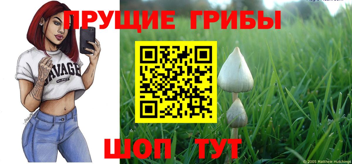 Псилоцибиновые грибы MAGIC MUSHROOMS Уссурийск